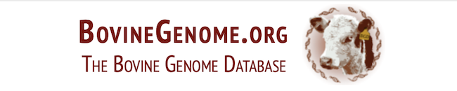 BovineGenome.org